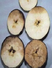 Fruits