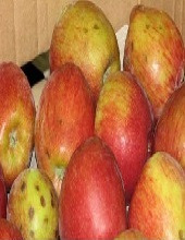 Fruits